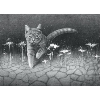 0415 Postcard "The cat"